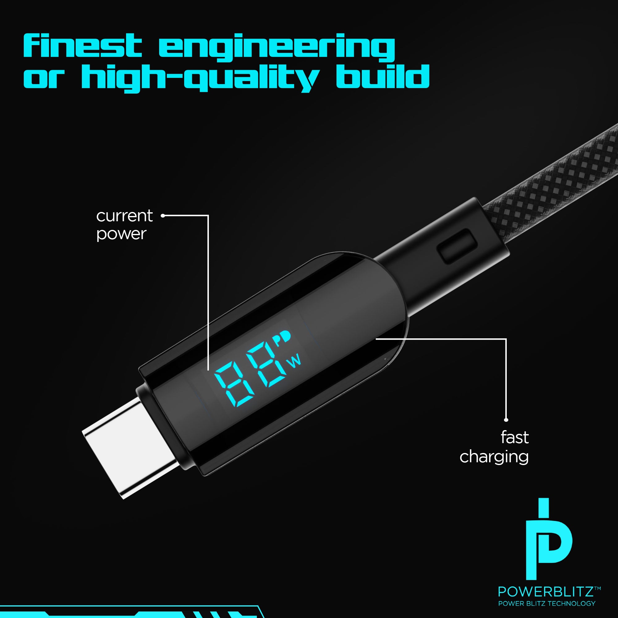 Blaze Fusion Spot LED Display Cable (Type-C to Type-C)