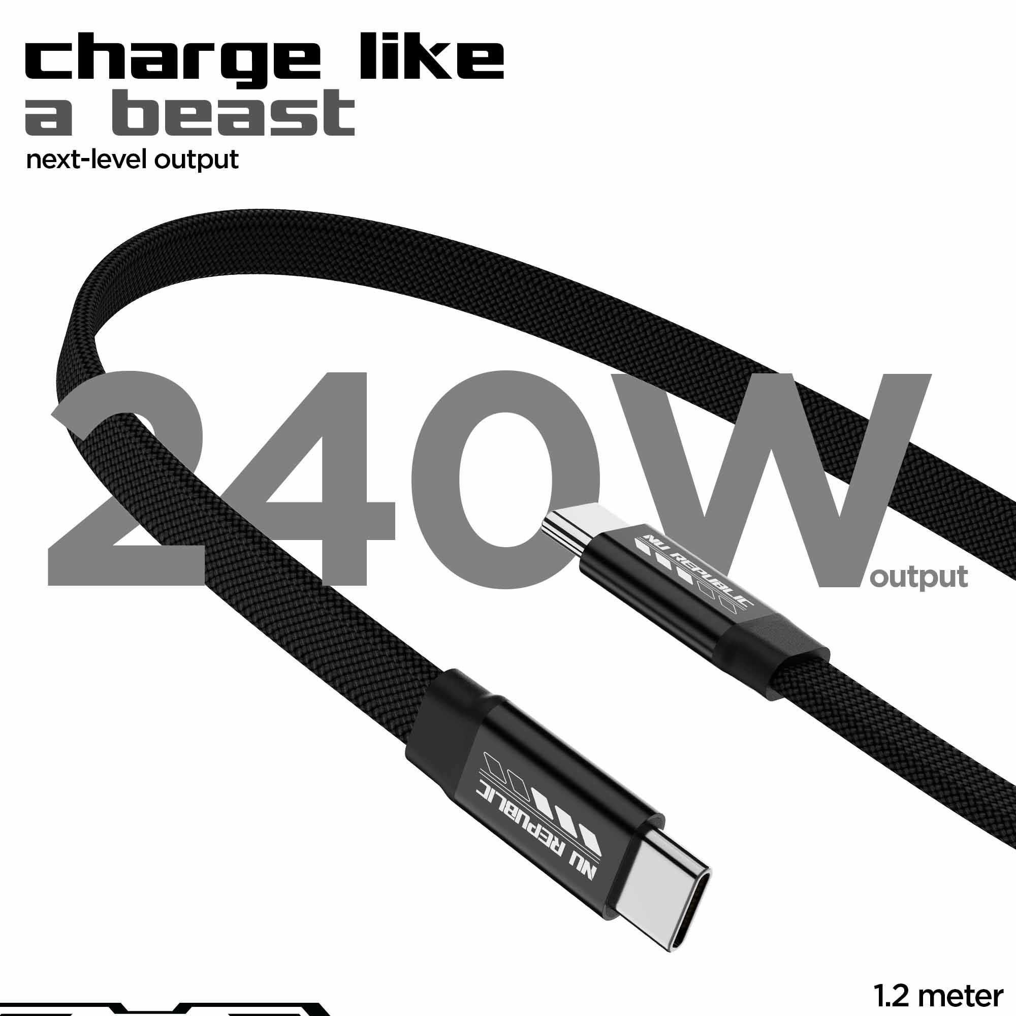 Blaze Fusion Flat 240W Magnetic Cable